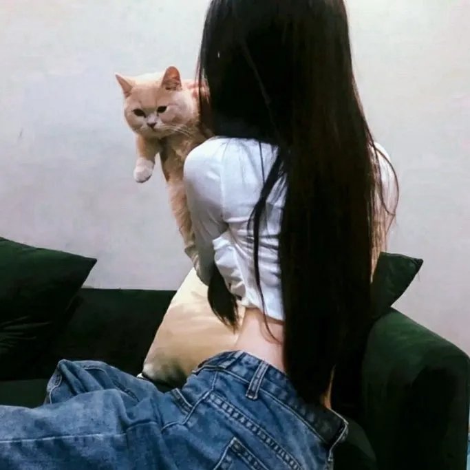 我老婆是凶手